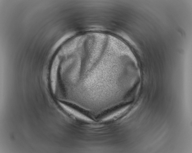 X0000113541325200910091235