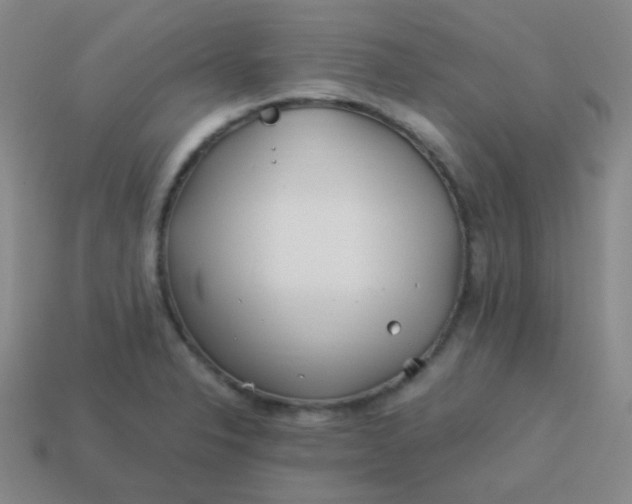 X0000113541326200910091235