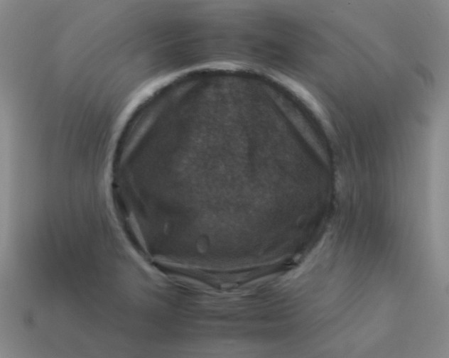 X0000113541327200910091235