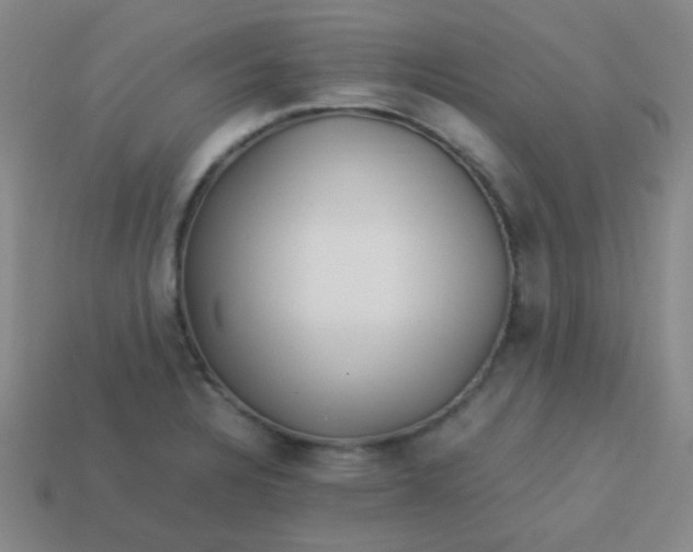 X0000113541328200910091235