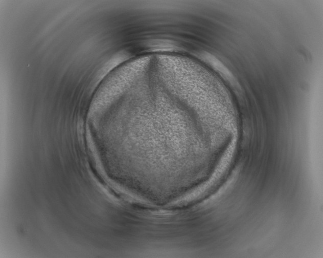 X0000113541329200910091235