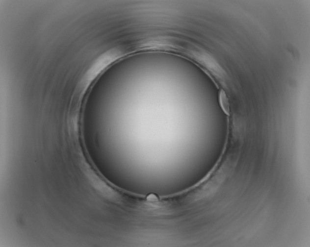 X0000113541330200910091235