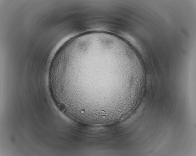 X0000113541331200910091235