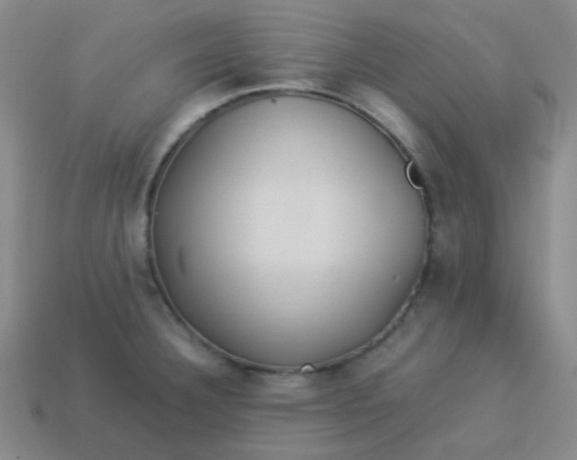 X0000113541332200910091235