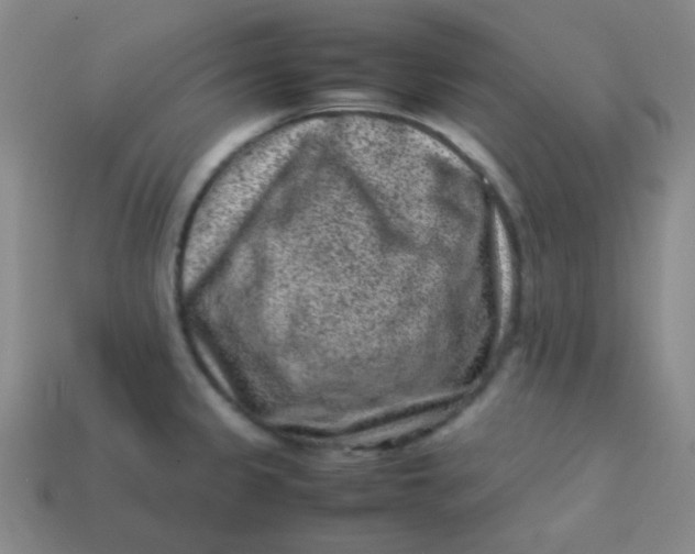 X0000113541333200910091235