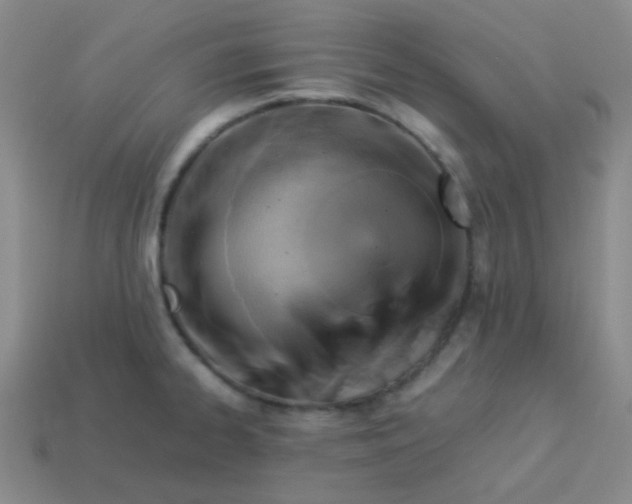 X0000113541334200910091235