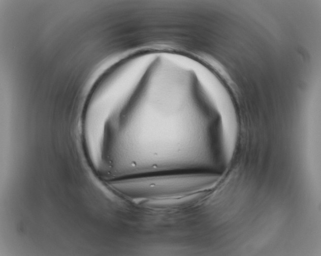 X0000113541335200910091235