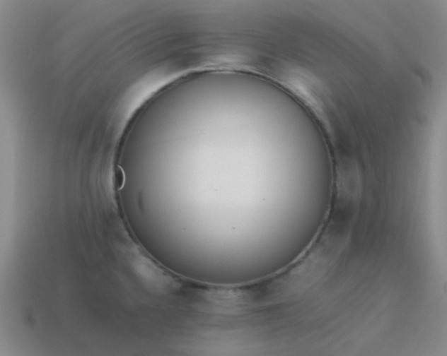 X0000113541336200910091235