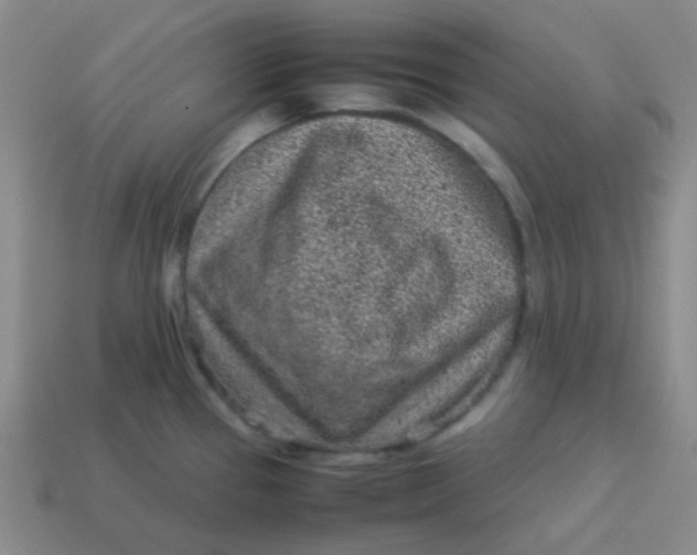 X0000113541337200910091235