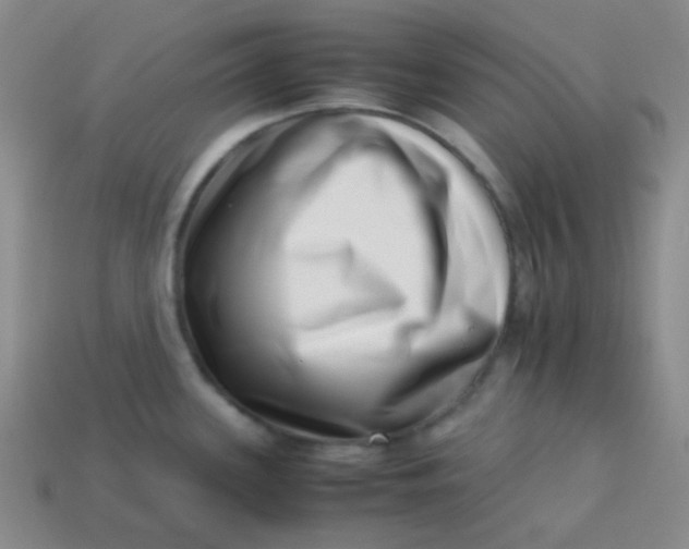 X0000113541339200910091235