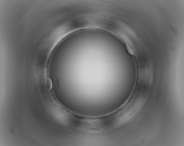 X0000113541340200910091235