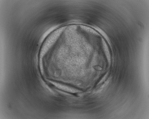 X0000113541341200910091235