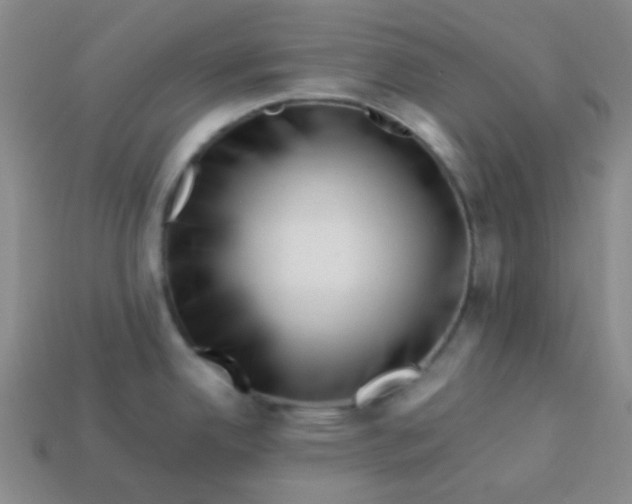 X0000113541342200910091235