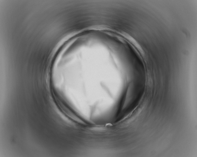 X0000113541343200910091235