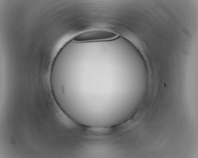 X0000113541344200910091235