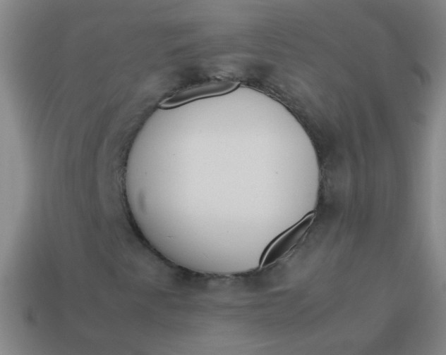 X0000113541345200910091235