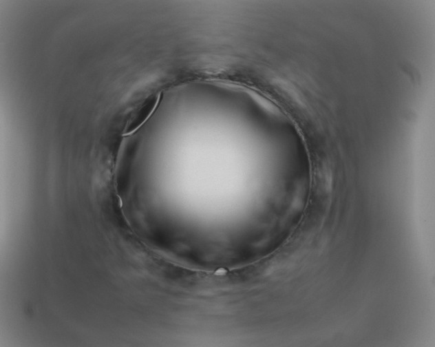 X0000113541349200910091235