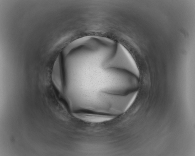 X0000113541350200910091235