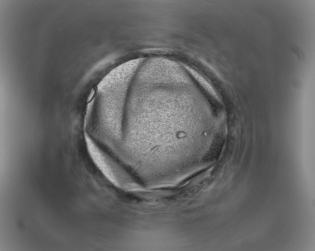 X0000113541351200910091235