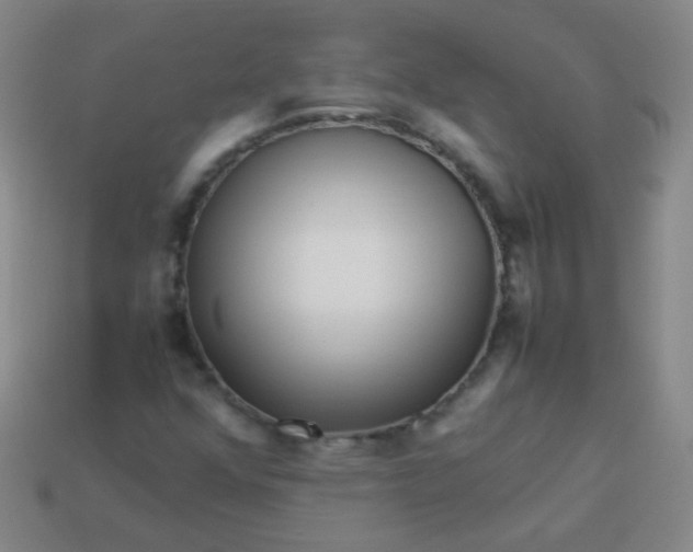 X0000113541352200910091235