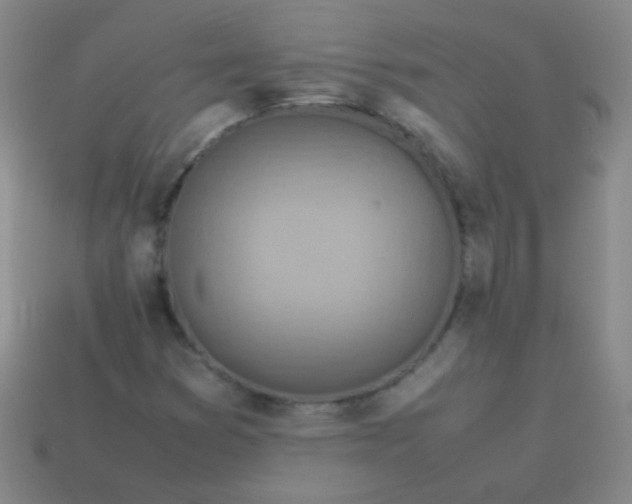 X0000113541353200910091235