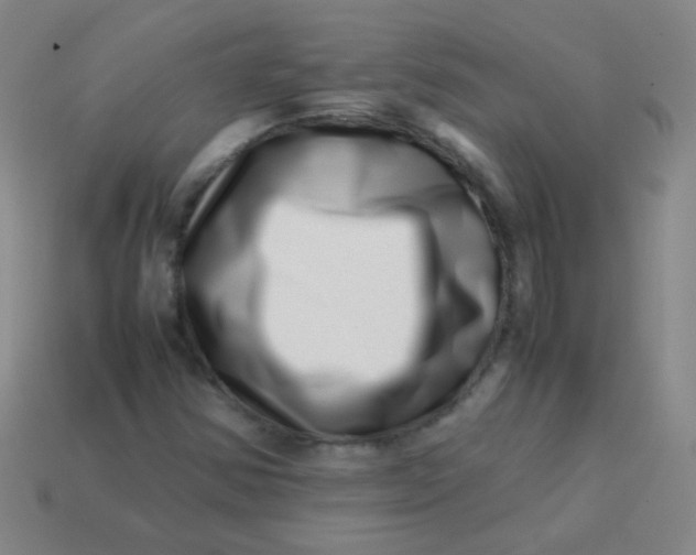 X0000113541354200910091235