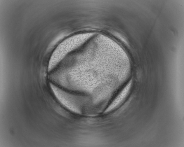 X0000113541355200910091235