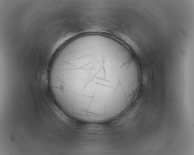 X0000113541356200910091235