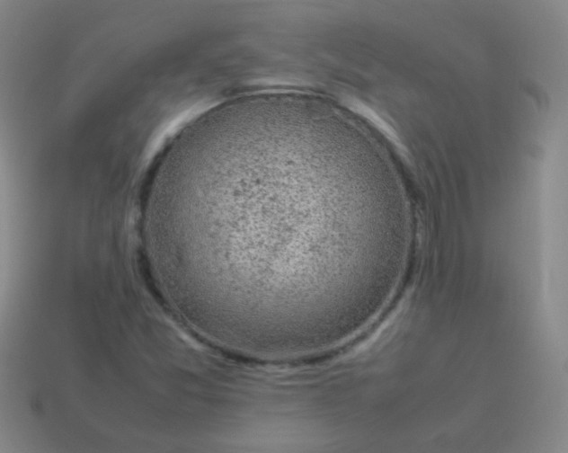 X0000113541357200910091235