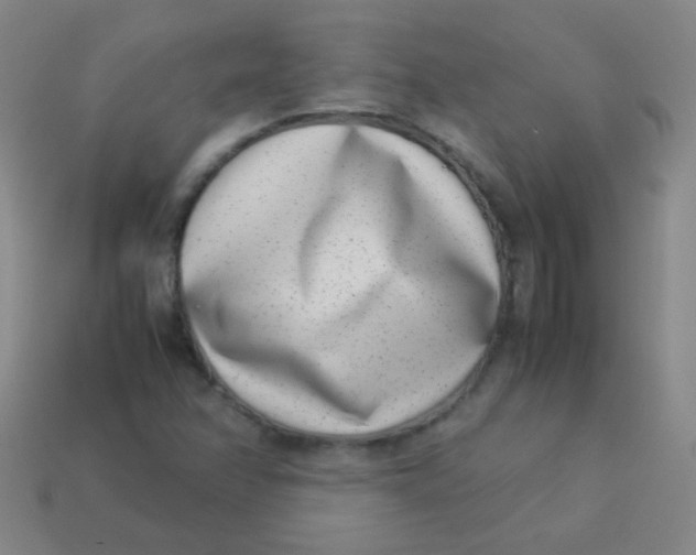 X0000113541358200910091235