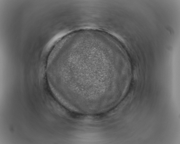 X0000113541359200910091235