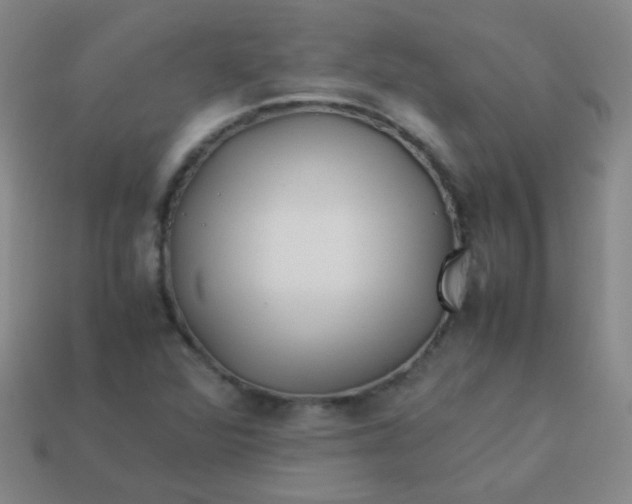 X0000113541360200910091235