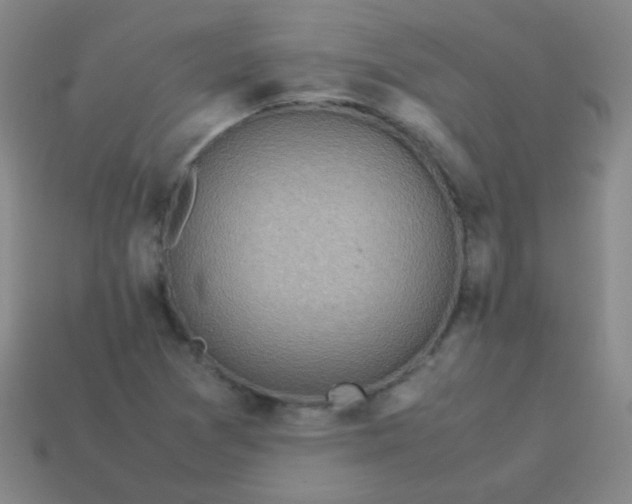 X0000113541361200910091235