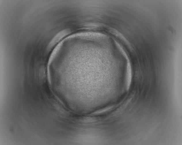 X0000113541362200910091234