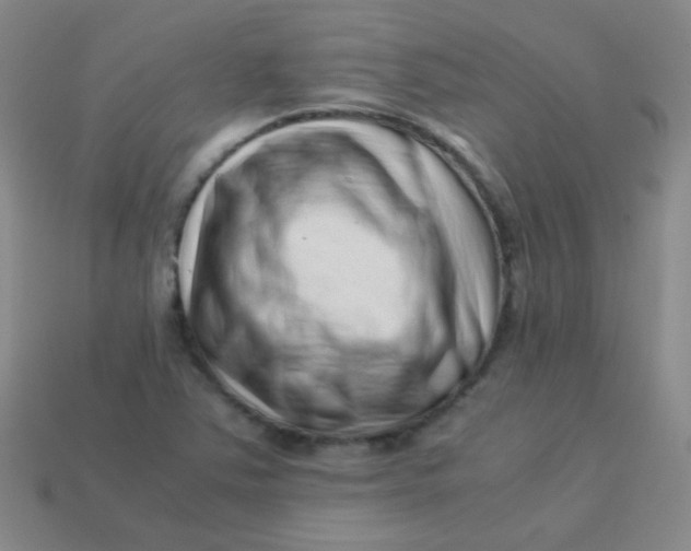 X0000113541363200910091234