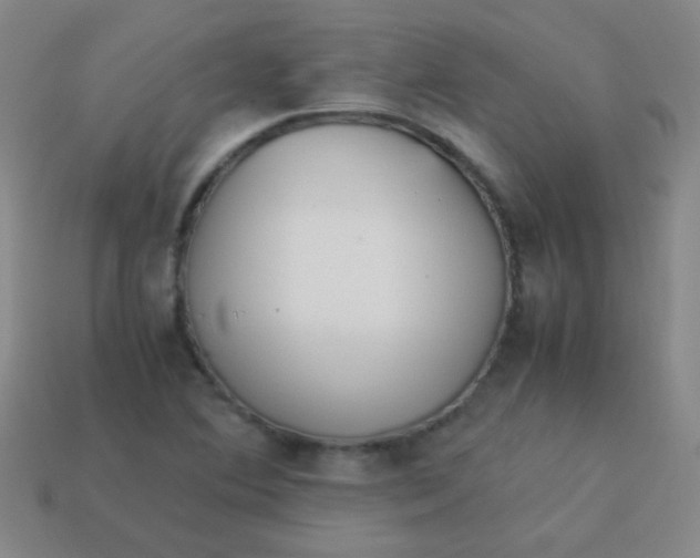 X0000113541364200910091234