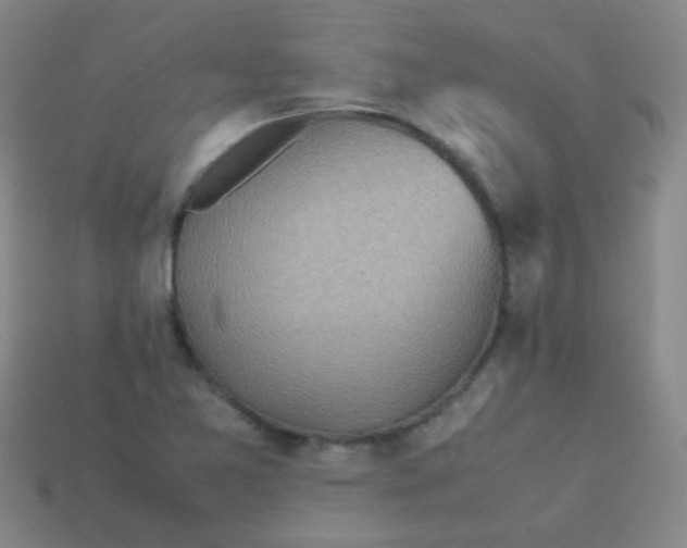 X0000113541365200910091234