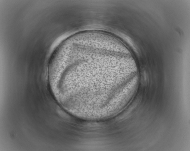 X0000113541366200910091234