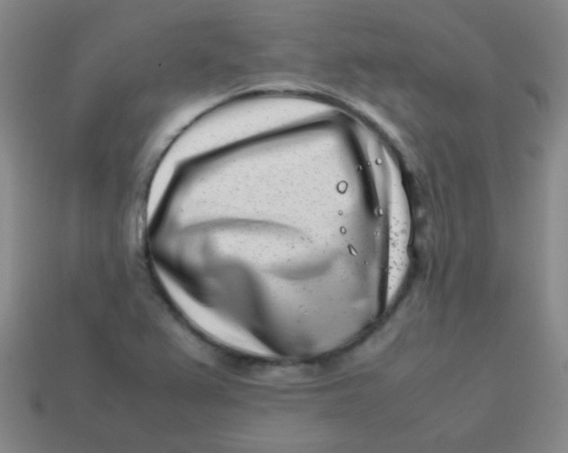 X0000113541367200910091234