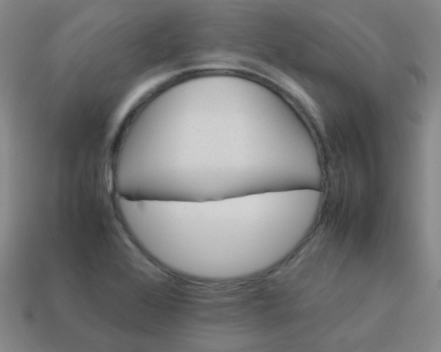 X0000113541368200910091234