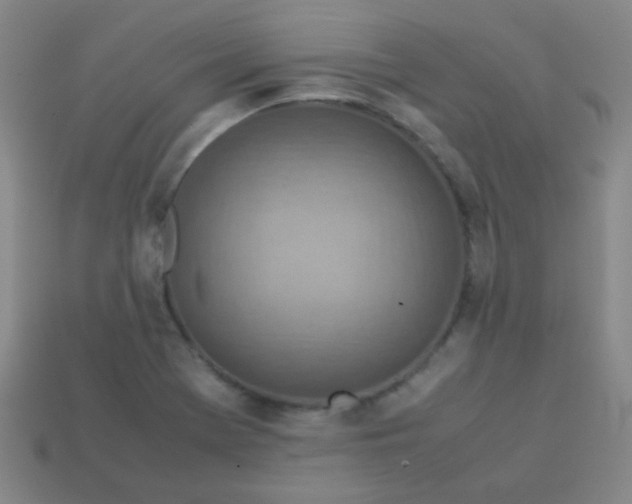 X0000113541369200910091234