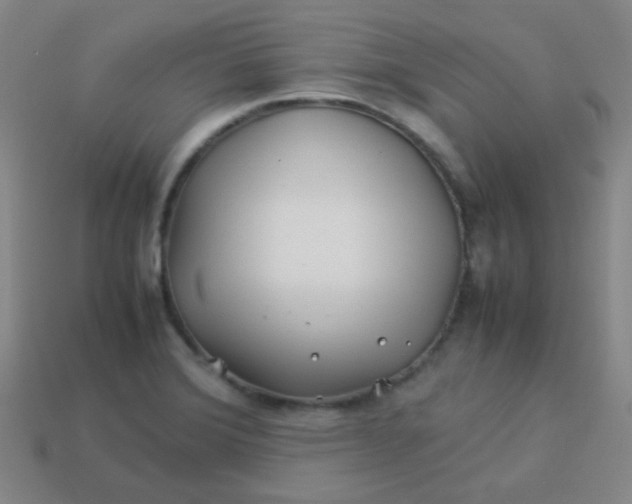 X0000113541372200910091234