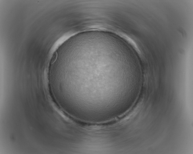 X0000113541373200910091234