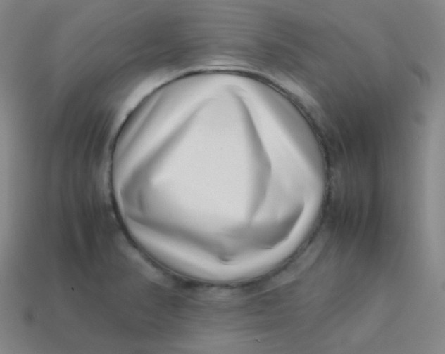 X0000113541374200910091234