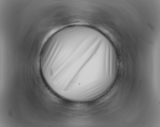 X0000113541375200910091234