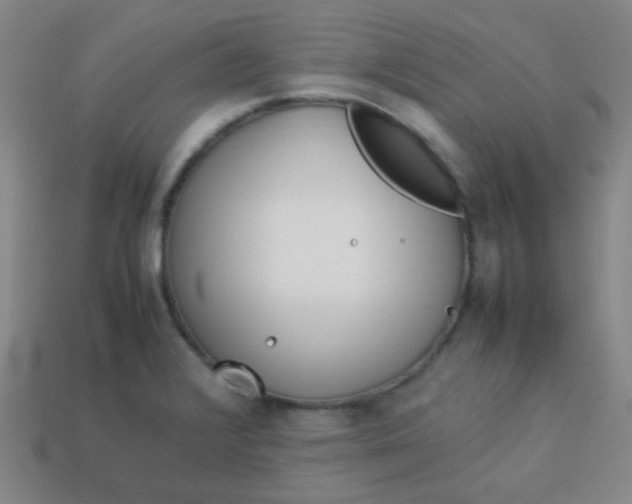 X0000113541376200910091234