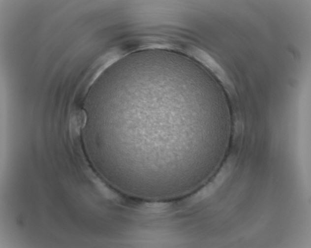 X0000113541377200910091234