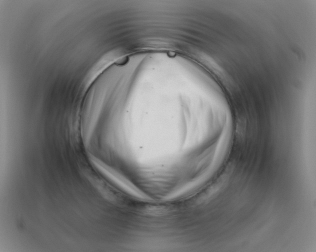 X0000113541378200910091234