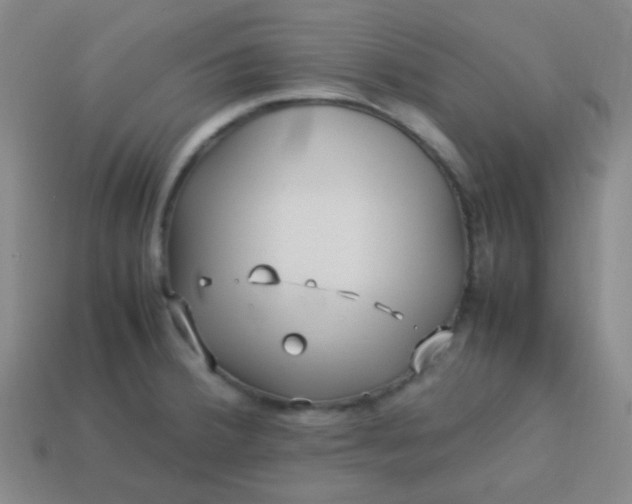 X0000113541380200910091234