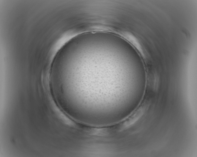 X0000113541381200910091234